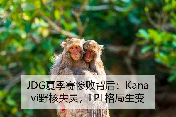 JDG夏季赛惨败背后：Kanavi野核失灵，LPL格局生变
