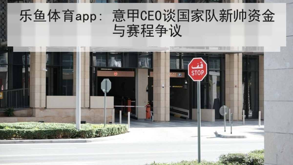 乐鱼体育app: 意甲CEO谈国家队新帅资金与赛程争议