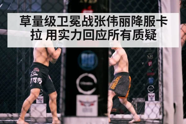 UFC octagon cage