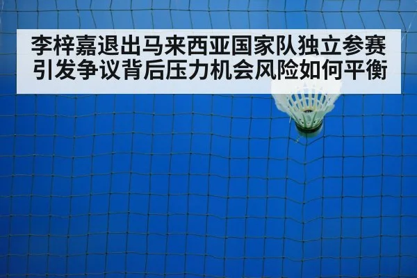 badminton shuttlecock on court